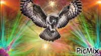 owl κινούμενο GIF