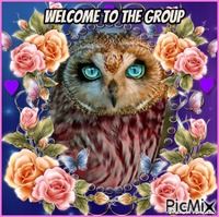 welcome owl animerad GIF