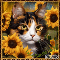 Cat in the Sunflowers - GIF animé gratuit