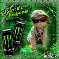 Monster Energy Cat - Free animated GIF