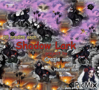 shadow lark - GIF animé gratuit