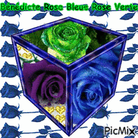 Roses bleue, violette et verte - GIF animé gratuit