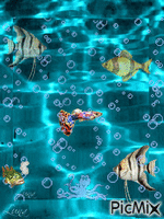 Подводный мир. - Free animated GIF
