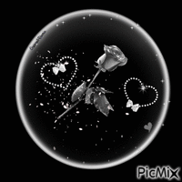 Rose dans une bulle