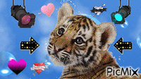 le tigre de mes reves animovaný GIF