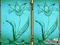 water flower GIF animasi
