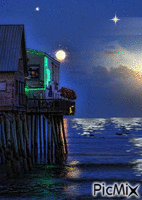 Noche de luna llena - GIF animate gratis