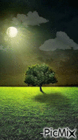 night - Ingyenes animált GIF