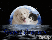 Sweet dreams animovaný GIF
