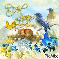 Contest: Spring in yellow and blue анимиран GIF