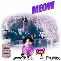 Purple Meow
