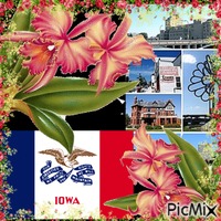 Flower of State  / IOWA USA - GIF animé gratuit