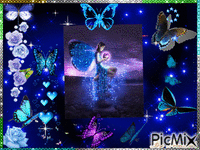 Butterfly flight - Gratis animerad GIF