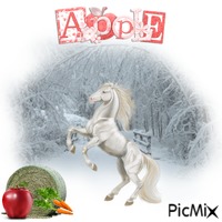 Horses An Delicious Apples animowany gif