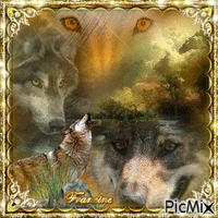 Les Loups ♥♥♥ animovaný GIF