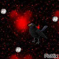 crow - GIF animate gratis