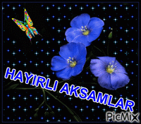 AKSAM Animated GIF