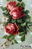 Roses1 - GIF animado gratis