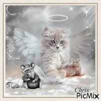 Angel kitten - gratis png