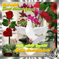 Good evening&Good  night and Sveet dreams friend - Free animated GIF