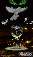 Belle colombe - GIF animé gratuit