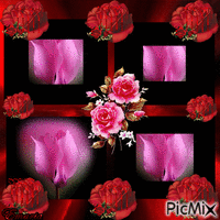 brilho das rosas κινούμενο GIF