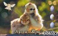 Joyeuses pâques - Безплатен анимиран GIF