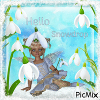 Hello Snowdrop - Ilmainen animoitu GIF
