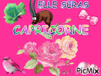 CAPRICORNE - Ücretsiz animasyonlu GIF