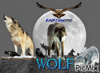 wolf pack - Bezmaksas animēts GIF