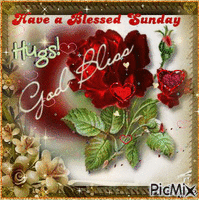 Blessed Sunday Gif Animado