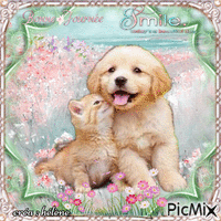 Chaton et chiot - Tons pastels - Darmowy animowany GIF