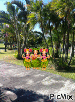 Tropical JOYCE animovaný GIF