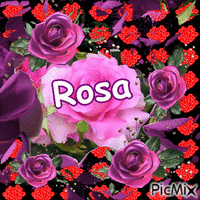 Rosa - 免费动画 GIF