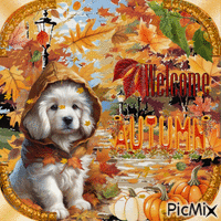 Süßer Hund im Herbst - Gratis geanimeerde GIF