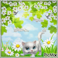 Sweet Kitty - GIF animé gratuit