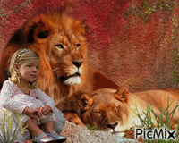 La jeune fille et les lions Gif Animado