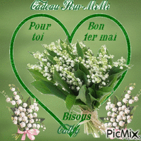 Merci ma Cathy pour tes beaux bouquets de Muguet - Бесплатный анимированный гифка