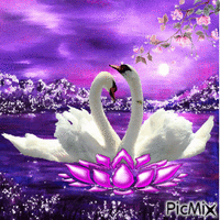 swans GIF animasi
