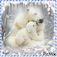 polar bear with baby - GIF animé gratuit