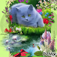 Chat au lac - Free animated GIF