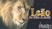 Leão da Tribo de Judá - Бесплатный анимированный гифка