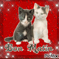 bon matin - Zdarma animovaný GIF