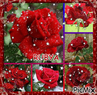 RUBYAA Animated GIF