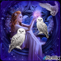 Fantasy owl animeret GIF