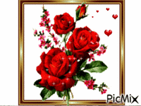 red roses - Bezmaksas animēts GIF