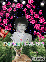 Dorina - GIF animé gratuit