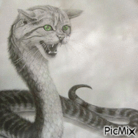 ébauche chat aux yeux vert - Gratis geanimeerde GIF