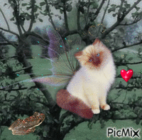 kitty geanimeerde GIF
