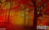 foggy - Bezmaksas animēts GIF